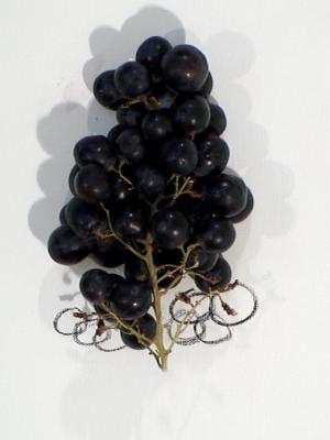 2006_19_001