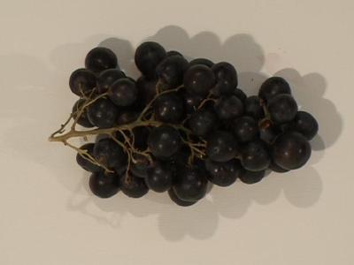 2006_19_001