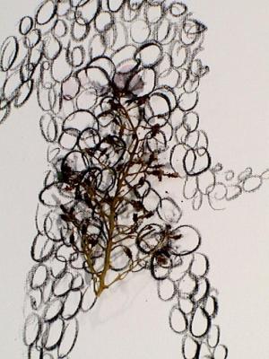 2006_19_001