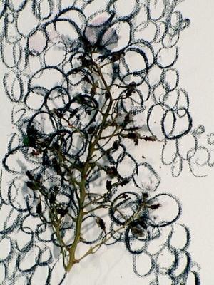 2006_19_001
