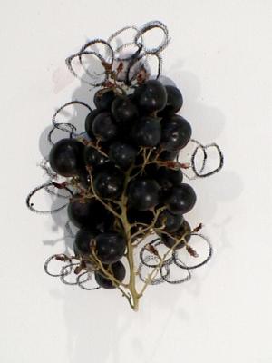 2006_19_001