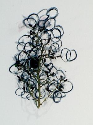 2006_19_001