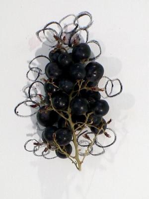 2006_19_001