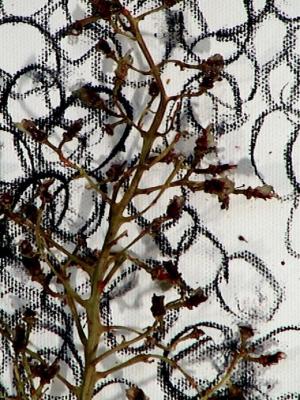 2006_19_001