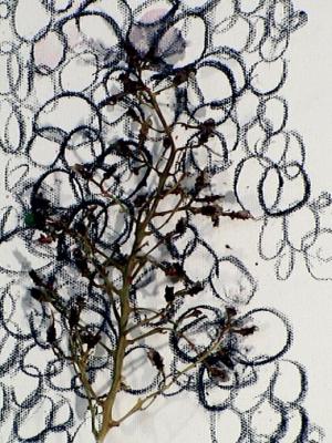 2006_19_001