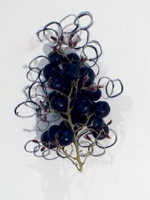 2006_19_001