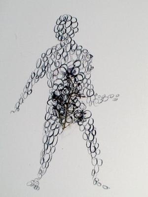 2006_19_001