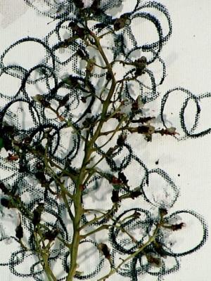 2006_19_001