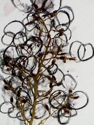 2006_19_001