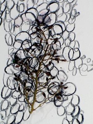 2006_19_001