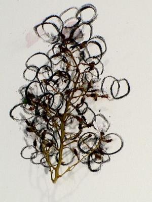 2006_19_001