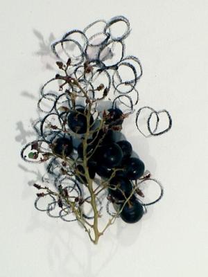 2006_19_001