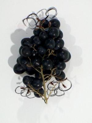 2006_19_001