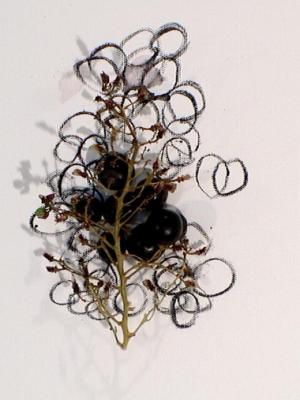 2006_19_001