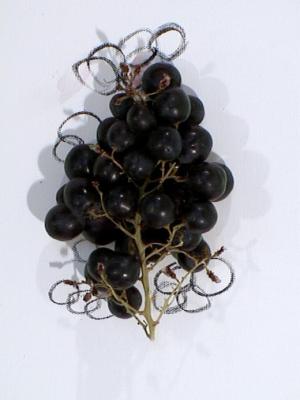 2006_19_001