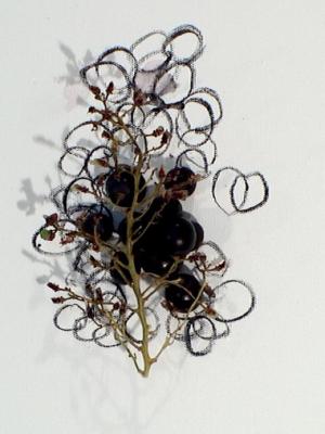 2006_19_001