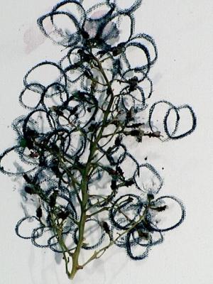 2006_19_001