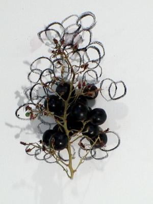 2006_19_001