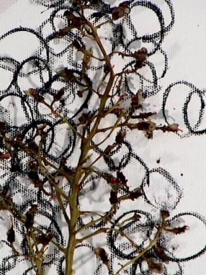 2006_19_001
