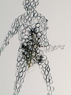 2006_19_001
