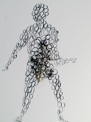 2006_19_001