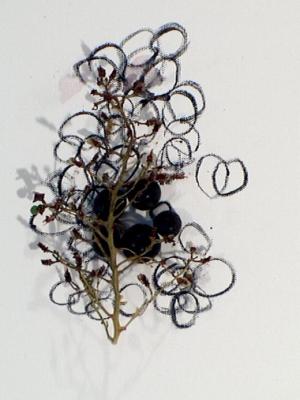 2006_19_001