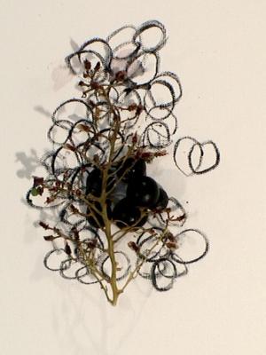 2006_19_001
