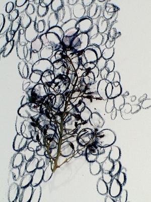2006_19_001