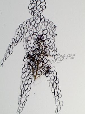 2006_19_001