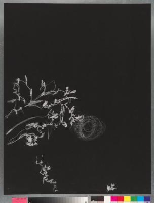 1981_03_008
