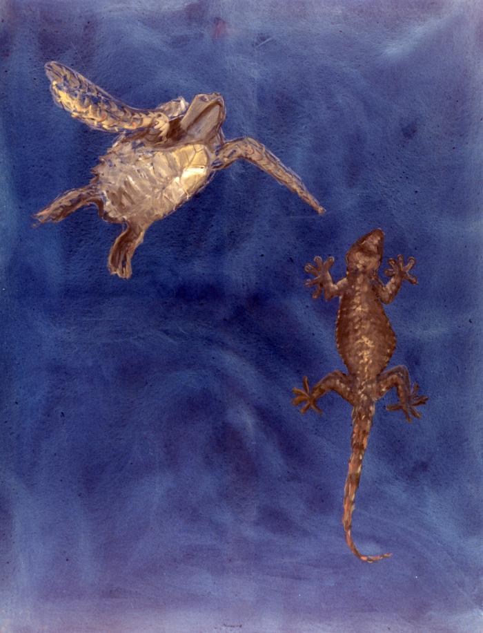 1987_01_043a