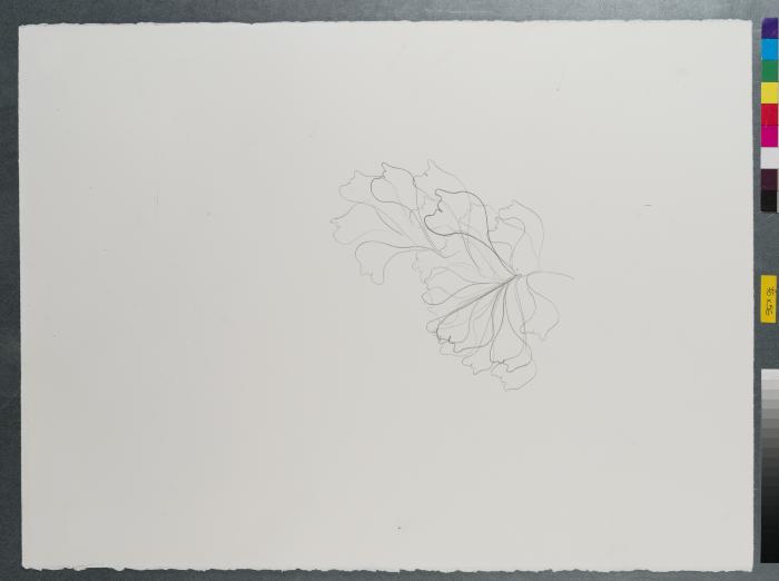 2018_02_074