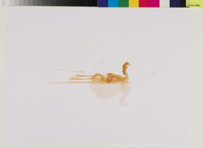 2011_12_052