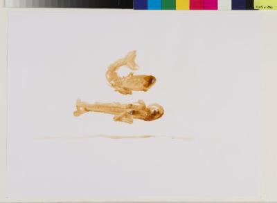 2011_12_049
