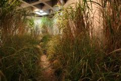 2008_08_172
