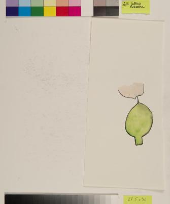 2015_07_194