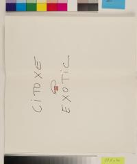 2012_01_318