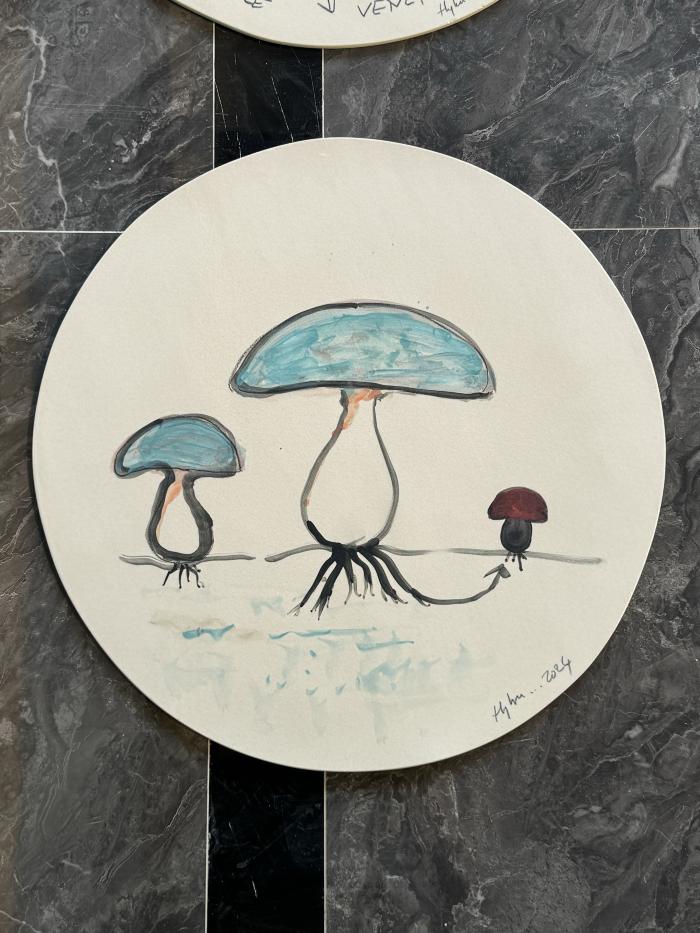 Mushroom A
