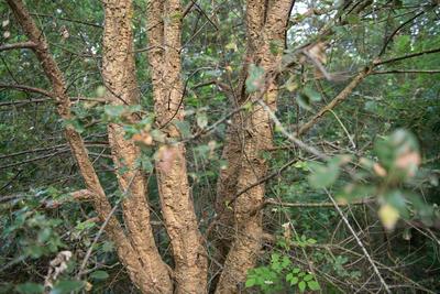 Visite de la Vallée et des ateliers, 2019