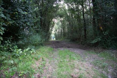 Visite de la Vallée et des ateliers, 2019