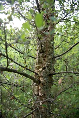 Visite de la Vallée et des ateliers, 2019