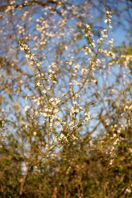 28_03_21_hyber_michael_huard-1.jpg
