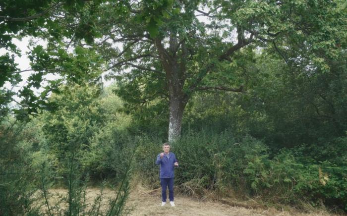 [VIDE]