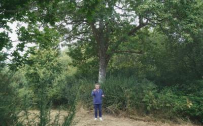 [VIDE]
