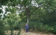 [VIDE]